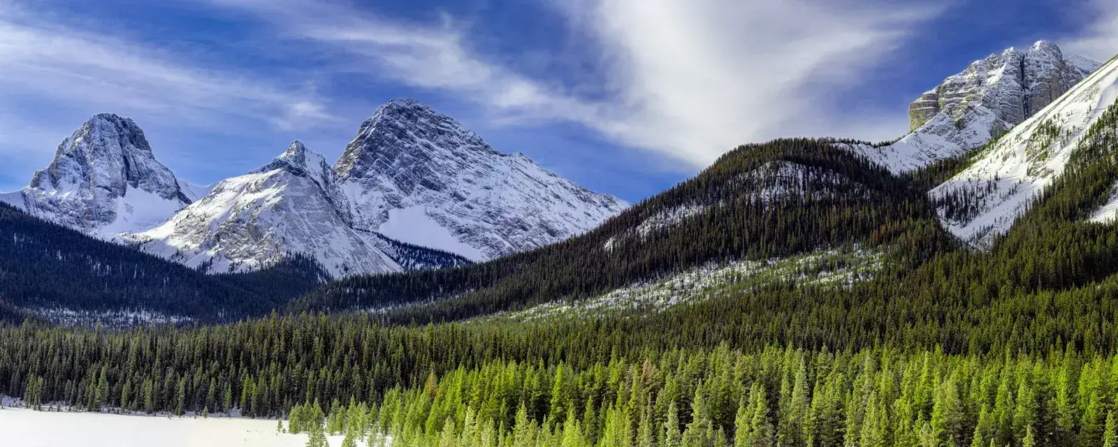加拿大预测预测分析站加拿大雪山全景